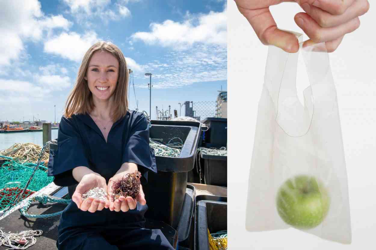 MarinaTex, une étudiante invente un bioplastique à base de déchets de poisson et d'algues