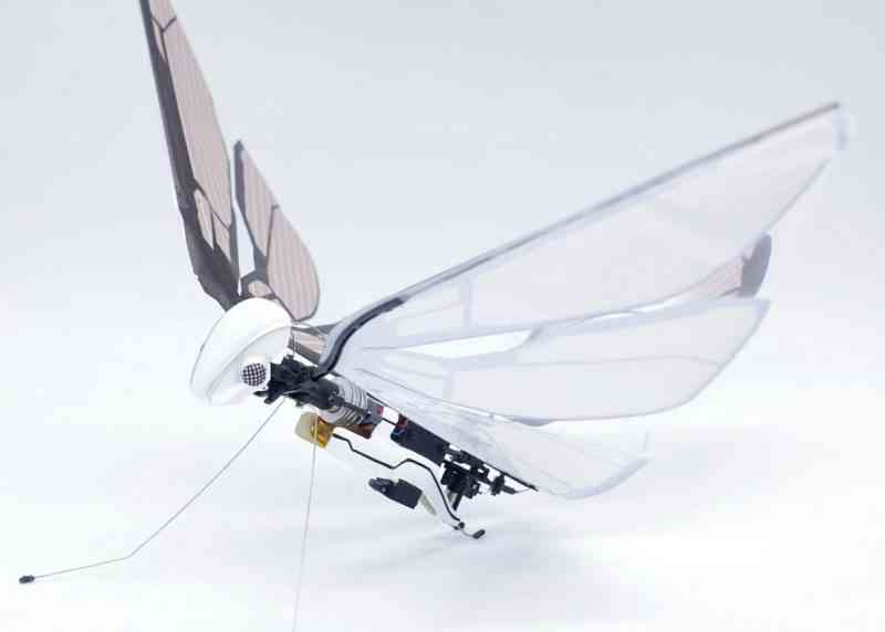 MetaFly, le drone biomimétique en forme d'insecte signé BionicBird