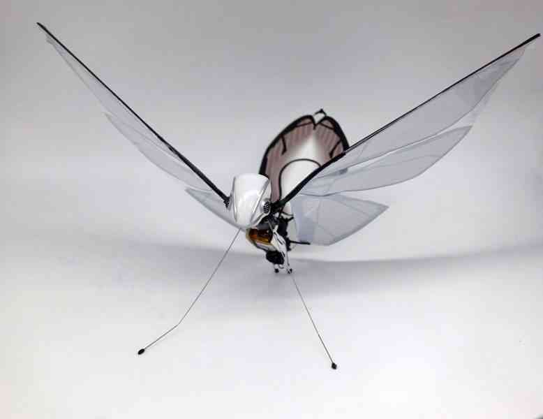 MetaFly, le drone biomimétique en forme d'insecte signé BionicBird