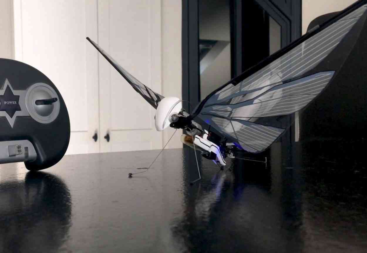 MetaFly, le drone biomimétique en forme d'insecte signé BionicBird