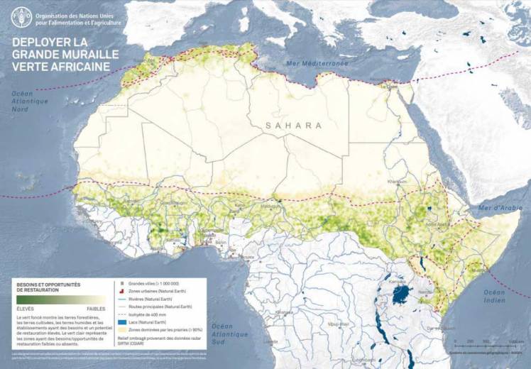 Afrique : un mur d’arbres de 8000 km pour lutter contre les effets du changement climatique et de la désertification