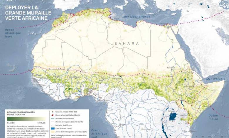 Afrique : un mur d’arbres de 8000 km pour lutter contre les effets du changement climatique et de la désertification