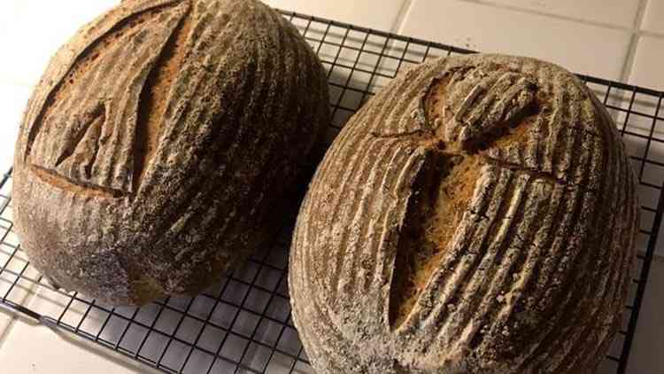 Il fabrique un pain de l’Égypte antique à l'aide de levures millénaires retrouvées dans des poteries