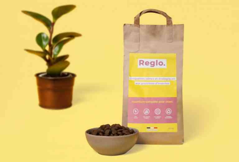 Reglo, les croquettes pour chiens écologiques aux protéines d’insectes