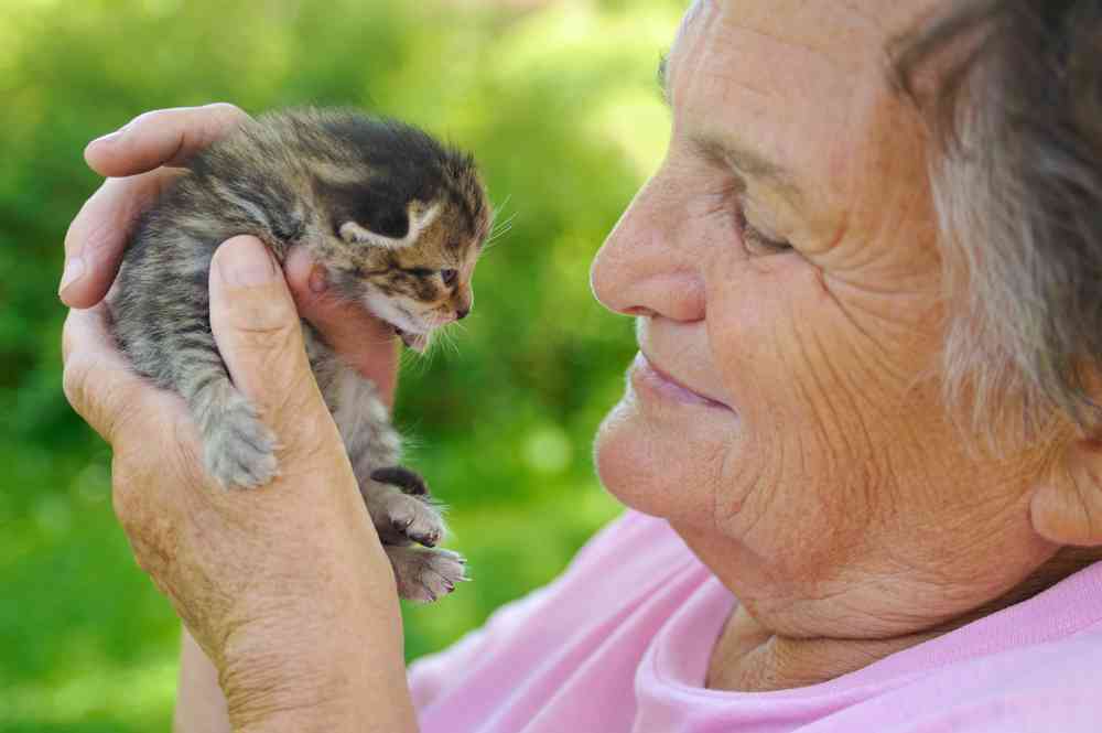 Ehpad : les personnes âgées pourront (bientôt) garder leur animal