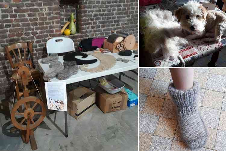 Stylaine Dogs, ils tissent des chaussons et des écharpes en poils de chats et chien en souvenir pour les propriétaires