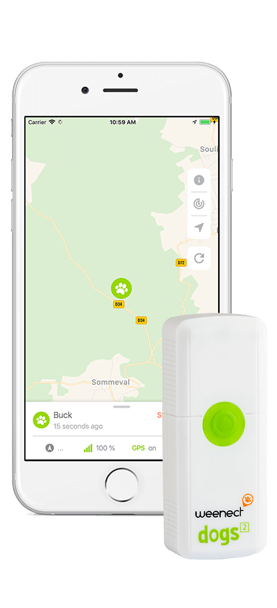 Weenect Dogs 2 - Présentation du collier GPS pour chien