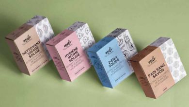 Mélo Ayurveda, le shampoing solide aux extraits naturels de plantes Ayurvédiques