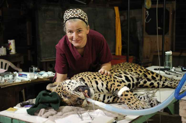 Belize : cette femme à sauvé plus de 1000 animaux en 7 ans
