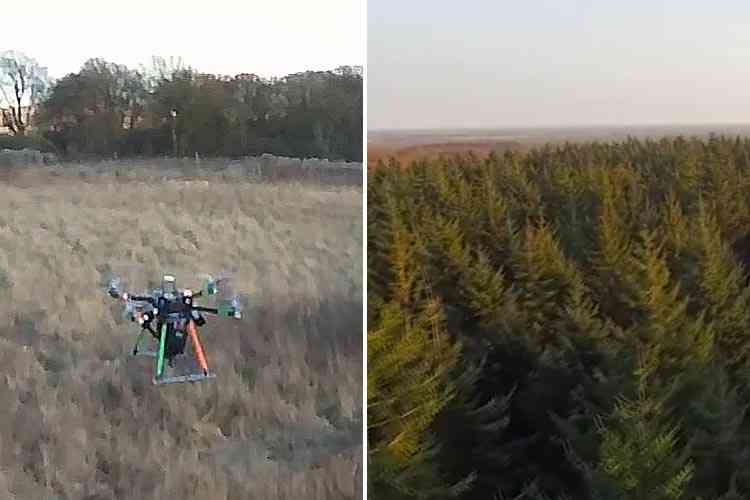 Un ancien ingénieur à la Nasa veut planter 32 milliards d’arbres d’ici à 2050 avec des Drones
