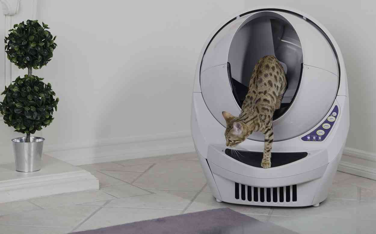 Litter-Robot, la litière pour chat connectée et auto nettoyante
