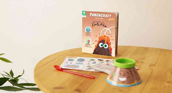 Idée cadeau : Pandacraft, un abonnement éducatifs et créatifs