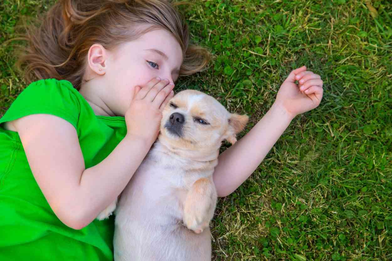 Les chiens peuvent catégoriser les mots, même s’ils sont prononcés par une personne inconnue
