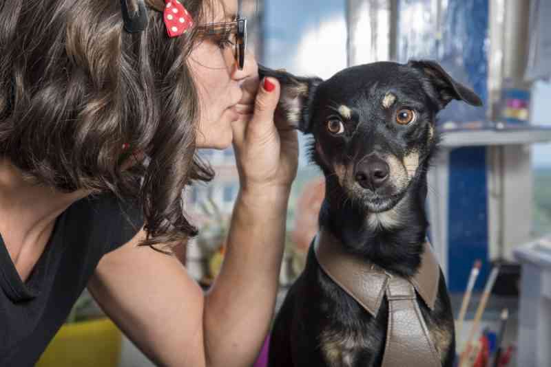 Les chiens peuvent catégoriser les mots, même s’ils sont prononcés par une personne inconnue