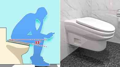 StandardToilet, des WC inclinés, l’invention insolite pour réduire le temps passé au petit coin