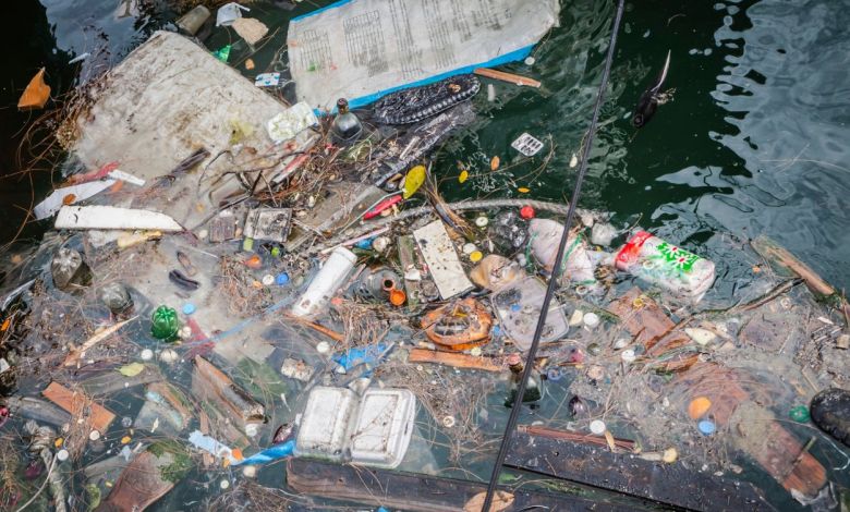 Un jeune irlandais invente un "aimant" à plastique capable de récupérer les microparticules qui envahissent les océans