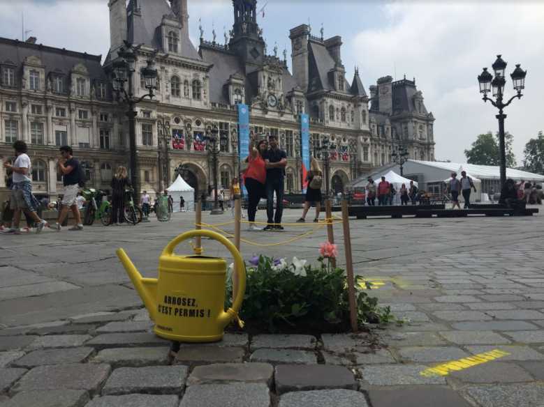 Biodalisme : ils remplacent les pavés de nos rues par de jolies graminées