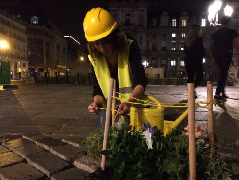 Biodalisme : ils remplacent les pavés de nos rues par de jolies graminées