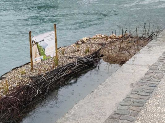 Lyon : des berges végétalisées flottantes sur le Rhône pour faire revenir la biodiversité en ville