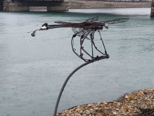 Lyon : des berges végétalisées flottantes sur le Rhône pour faire revenir la biodiversité en ville