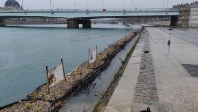 Lyon : des berges végétalisées flottantes sur le Rhône pour faire revenir la biodiversité en ville