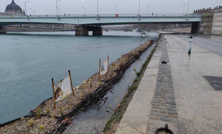 Lyon : des berges végétalisées flottantes sur le Rhône pour faire revenir la biodiversité en ville