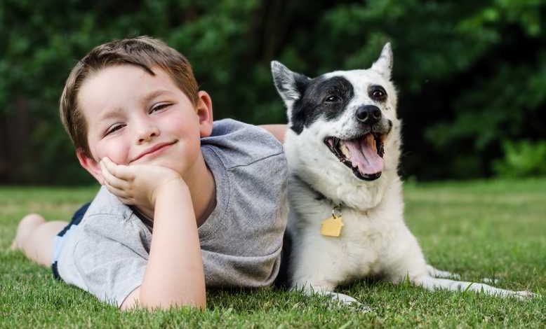 Autisme : la présence d'un chien d'éveil aurait de nombreux effets bénéfiques sur les enfants