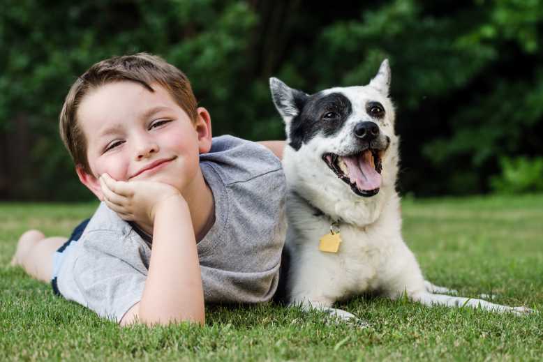 Autisme : la présence d'un chien d'éveil aurait de nombreux effets bénéfiques sur les enfants