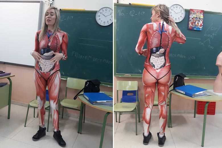 Pays-Bas : une enseignante enfile un costume "anatomique" représentant l’intérieur d’un corps humain