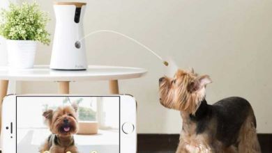 Furbo Dog Camera : une caméra pour interagir avec son animal pendant son absence