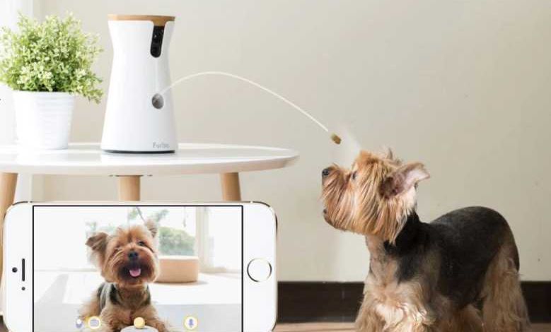 Furbo Dog Camera : une caméra pour interagir avec son animal pendant son absence