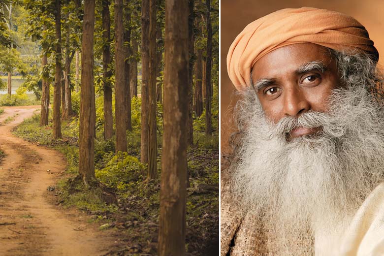 Pour faire reculer le désert, un maître yogi mobilise des milliers de volontaires pour planter 114 millions d’arbres