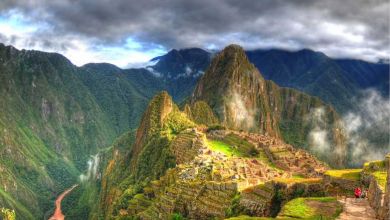 Pérou : un million d'arbres plantés pour sauver le Machu Picchu