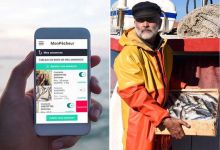 MonPêcheur : une application "circuit court" pour acheter son poisson tout juste débarqué des navires de pêche