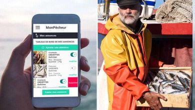 MonPêcheur : une application "circuit court" pour acheter son poisson tout juste débarqué des navires de pêche