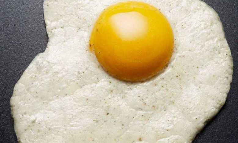 Deux étudiantes inventent l'œuf 100% végan sans poule, ni coq et sans couvaison