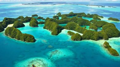 Palau devient le premier pays à interdire les crèmes solaires toxiques pour les fonds marins