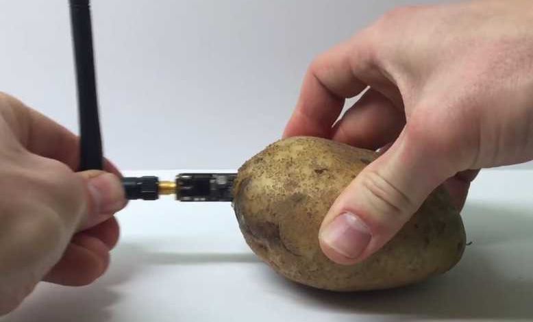 On trouve de tout au CES de Las Vegas, même des pommes de terre connectées...
