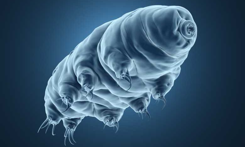 Bientôt, le réchauffement climatique pourrait même venir à bout des tardigrades, des petites créatures pourtant très coriaces