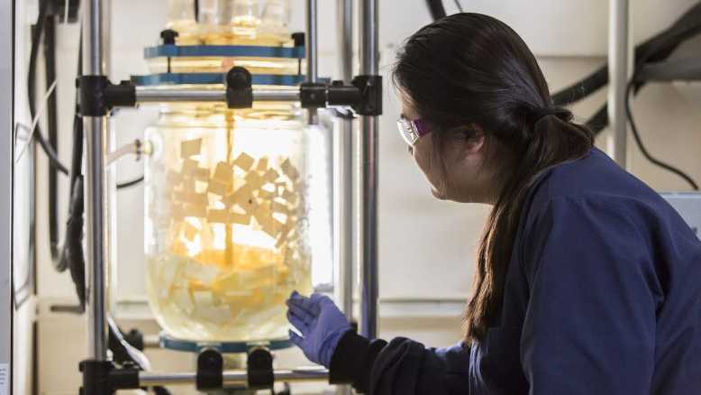 Biotechnologie : deux étudiantes transforment le plastique en matériau biodégradable