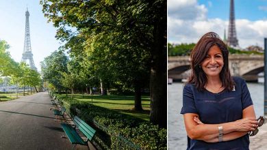Municipales : Anne Hidalgo souhaite planter un arbre à chaque naissance à Paris