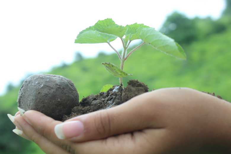 Kenya : 20 000 arbres plantés en 20 minutes avec des "bombes" de graines !