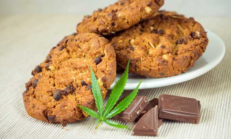 Bar, restaurants, livraison à domicile... Le CBD (dérivé du cannabis) s'incruste dans nos assiettes