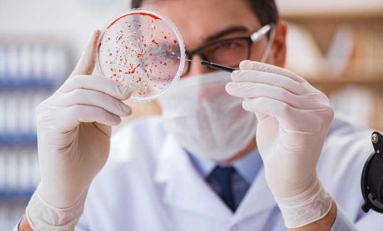 Des chercheurs ont développé une méthode pour détecter les bactéries dans les aliments emballés