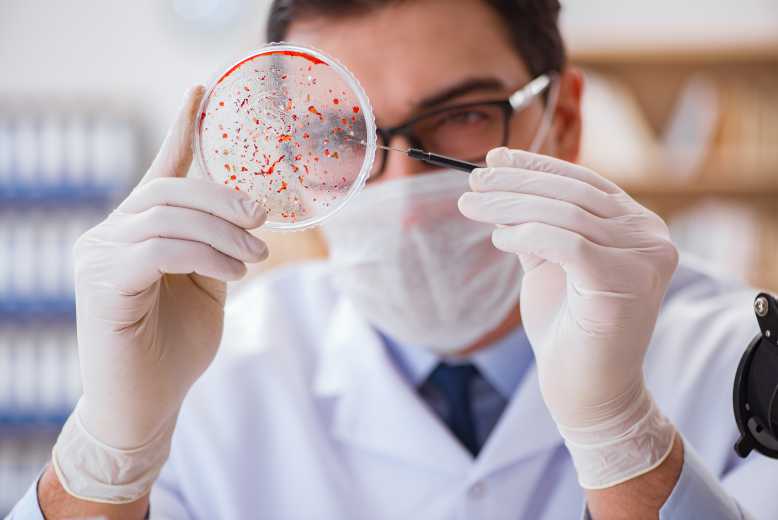 Des chercheurs ont développé une méthode pour détecter les bactéries dans les aliments emballés
