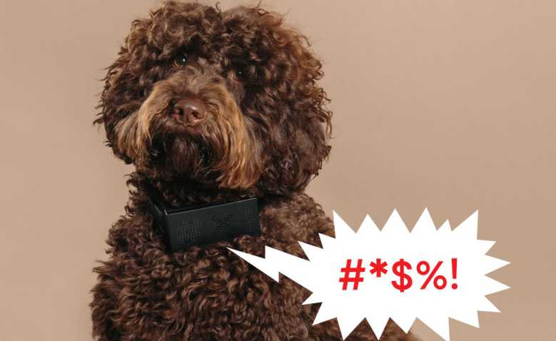 Cuss Collar, le collier pour chien qui "traduit" les aboiements en injures !