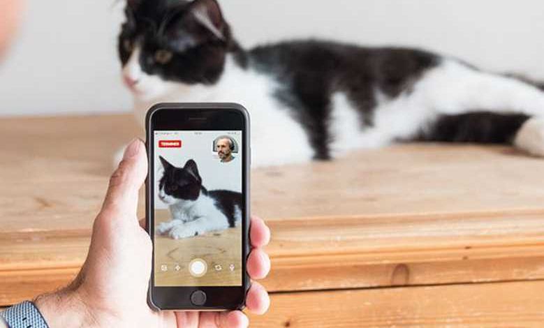 Linkyvet, le service de téléconsultation vétérinaire lève 550 000€ de fonds