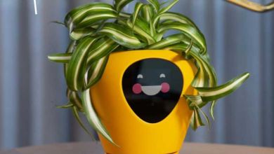 Lua : un petit pot qui transforme vos plantes en Tamagotchi