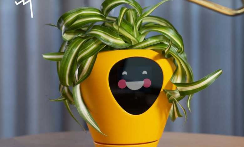 Lua : un petit pot qui transforme vos plantes en Tamagotchi