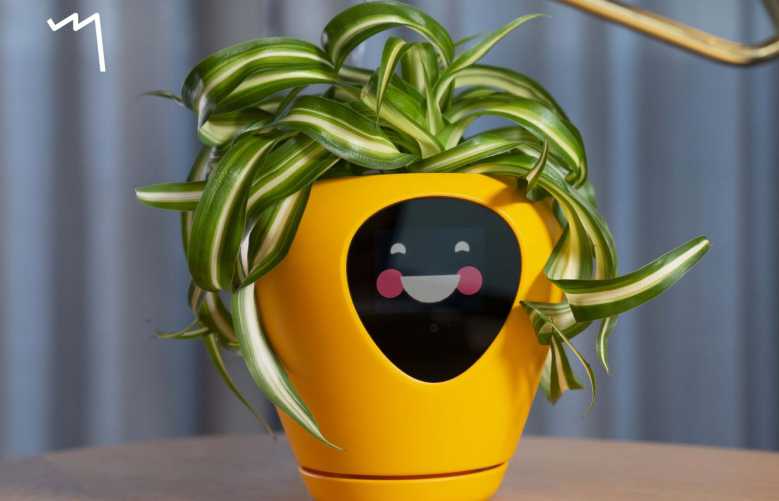Lua : un petit pot qui transforme vos plantes en Tamagotchi